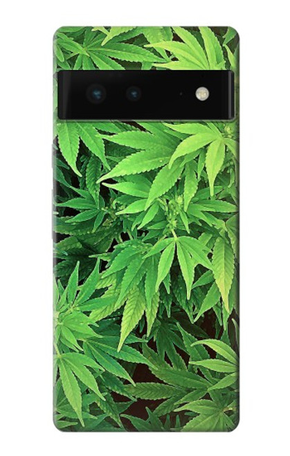 S1656 Plante Etui Coque Housse pour Google Pixel 6