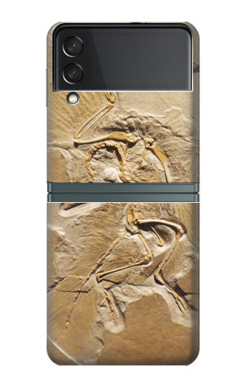 S0380 Fossile de dinosaure Etui Coque Housse pour Samsung Galaxy Z Flip 3 5G
