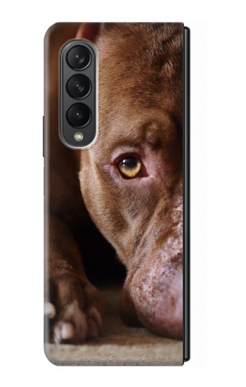 S0519 PitBull Visage Etui Coque Housse pour Samsung Galaxy Z Fold 3 5G