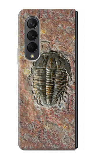 S1454 trilobite Fossile Etui Coque Housse pour Samsung Galaxy Z Fold 3 5G
