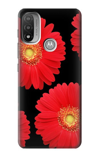S2478 fleur rouge Daisy Etui Coque Housse pour Motorola Moto E20,E30,E40