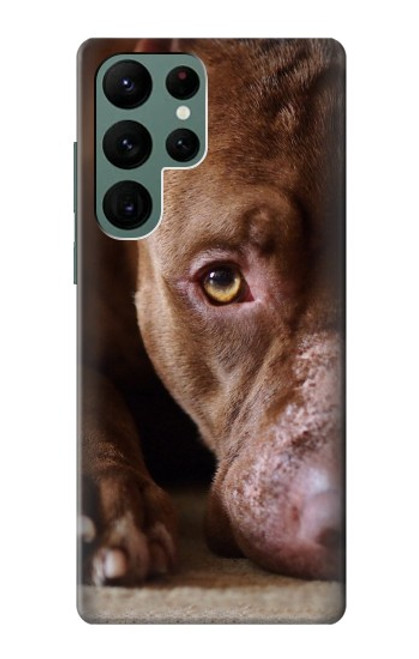 S0519 PitBull Visage Etui Coque Housse pour Samsung Galaxy S22 Ultra