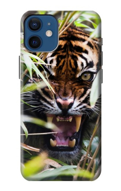 S3838 Tigre du Bengale qui aboie Etui Coque Housse pour iPhone 12 mini