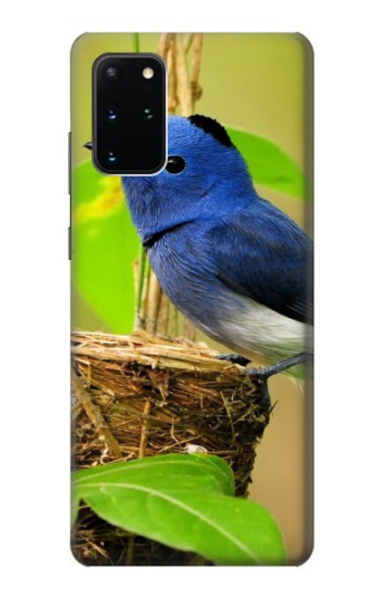 S3839 Oiseau bleu du bonheur Oiseau bleu Etui Coque Housse pour Samsung Galaxy S20 Plus, Galaxy S20+
