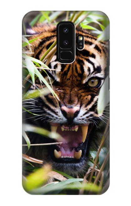S3838 Tigre du Bengale qui aboie Etui Coque Housse pour Samsung Galaxy S9 Plus
