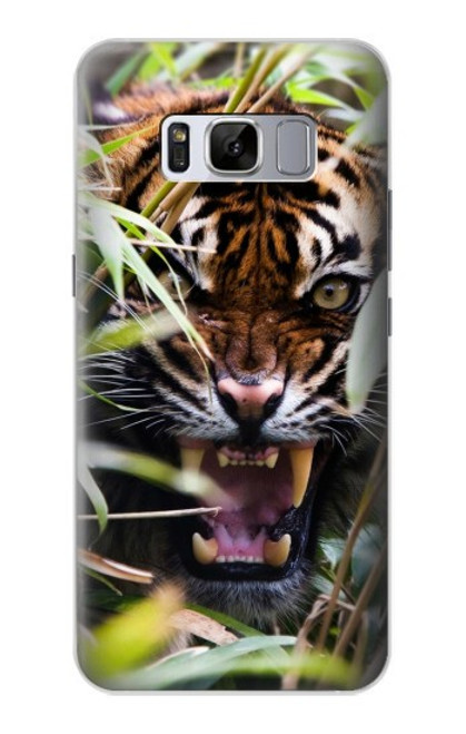 S3838 Tigre du Bengale qui aboie Etui Coque Housse pour Samsung Galaxy S8 Plus