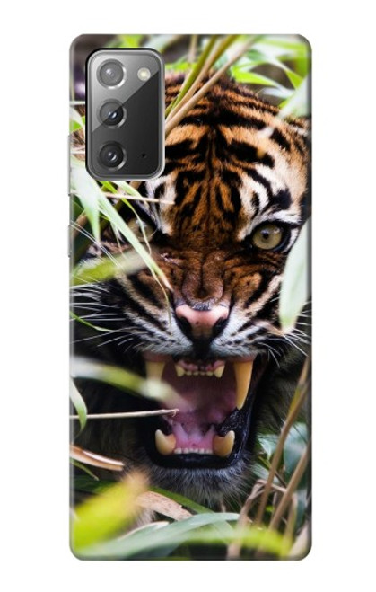 S3838 Tigre du Bengale qui aboie Etui Coque Housse pour Samsung Galaxy Note 20