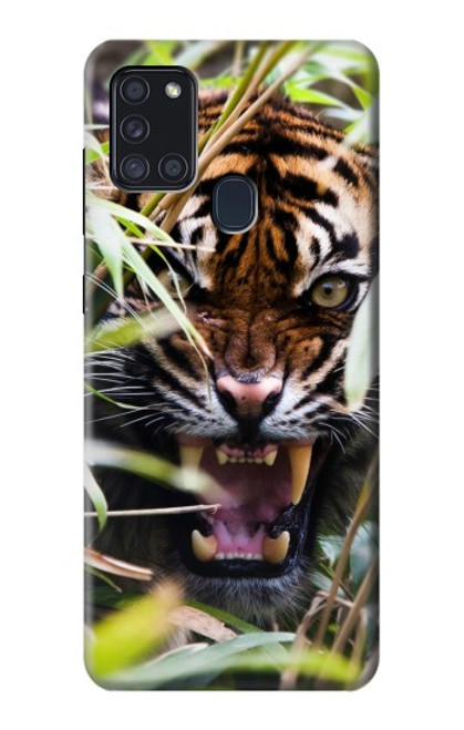 S3838 Tigre du Bengale qui aboie Etui Coque Housse pour Samsung Galaxy A21s