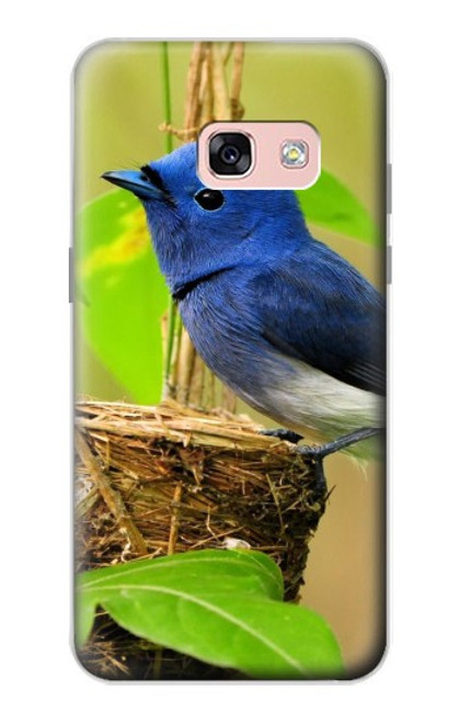 S3839 Oiseau bleu du bonheur Oiseau bleu Etui Coque Housse pour Samsung Galaxy A3 (2017)