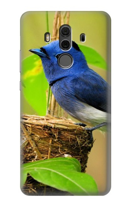 S3839 Oiseau bleu du bonheur Oiseau bleu Etui Coque Housse pour Huawei Mate 10 Pro, Porsche Design