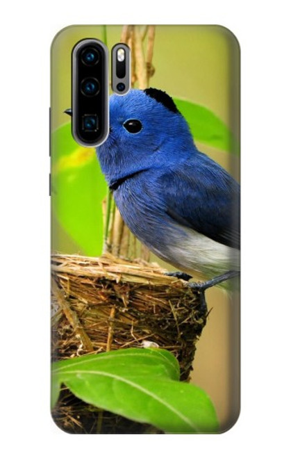 S3839 Oiseau bleu du bonheur Oiseau bleu Etui Coque Housse pour Huawei P30 Pro