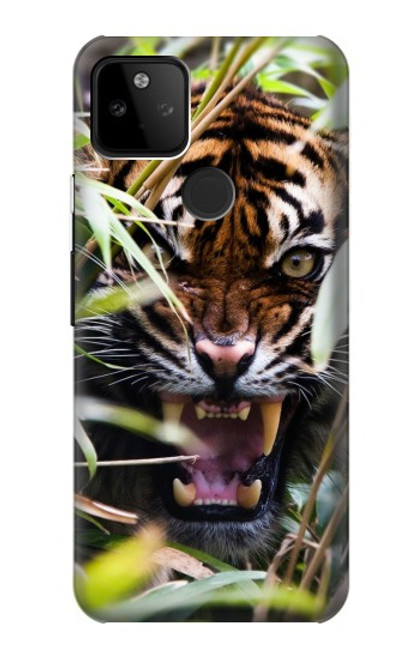 S3838 Tigre du Bengale qui aboie Etui Coque Housse pour Google Pixel 5A 5G