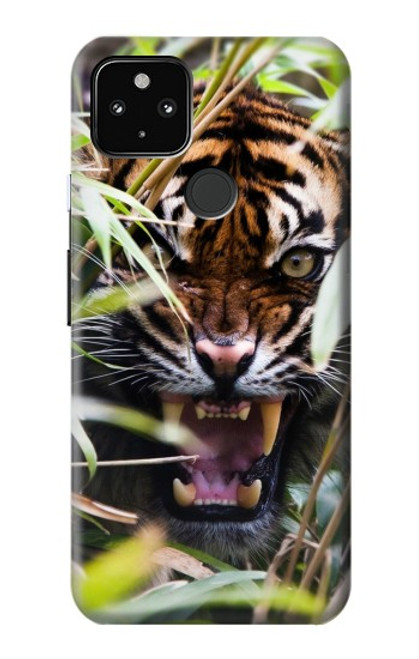 S3838 Tigre du Bengale qui aboie Etui Coque Housse pour Google Pixel 4a 5G