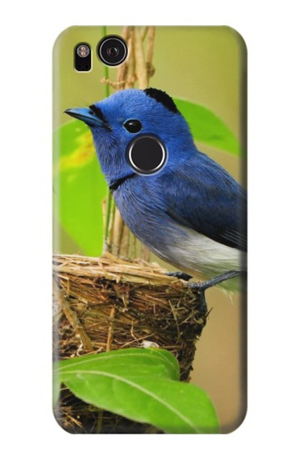 S3839 Oiseau bleu du bonheur Oiseau bleu Etui Coque Housse pour Google Pixel 2
