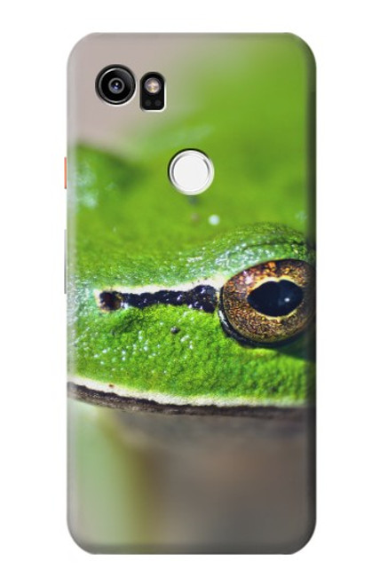 S3845 Grenouille verte Etui Coque Housse pour Google Pixel 2 XL