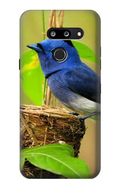S3839 Oiseau bleu du bonheur Oiseau bleu Etui Coque Housse pour LG G8 ThinQ
