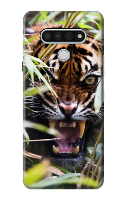 S3838 Tigre du Bengale qui aboie Etui Coque Housse pour LG Stylo 6