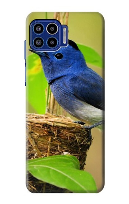 S3839 Oiseau bleu du bonheur Oiseau bleu Etui Coque Housse pour Motorola One 5G