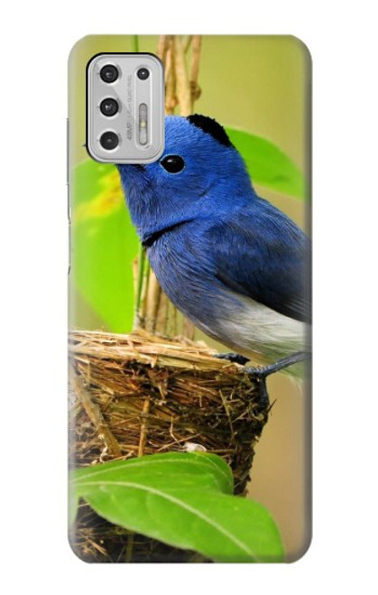 S3839 Oiseau bleu du bonheur Oiseau bleu Etui Coque Housse pour Motorola Moto G Stylus (2021)