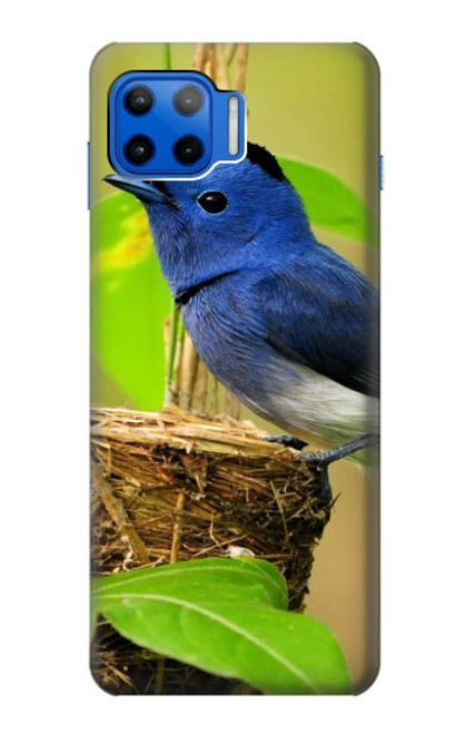 S3839 Oiseau bleu du bonheur Oiseau bleu Etui Coque Housse pour Motorola Moto G 5G Plus