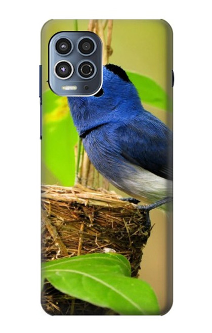 S3839 Oiseau bleu du bonheur Oiseau bleu Etui Coque Housse pour Motorola Moto G100