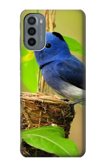 S3839 Oiseau bleu du bonheur Oiseau bleu Etui Coque Housse pour Motorola Moto G31