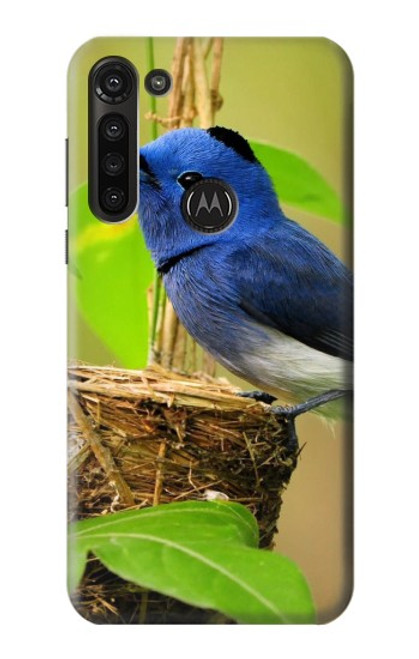 S3839 Oiseau bleu du bonheur Oiseau bleu Etui Coque Housse pour Motorola Moto G8 Power