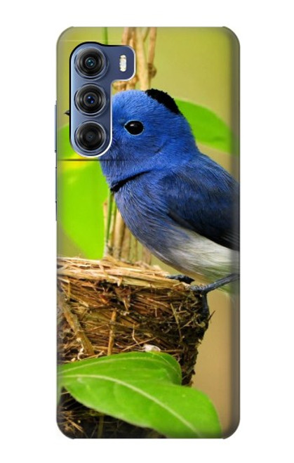 S3839 Oiseau bleu du bonheur Oiseau bleu Etui Coque Housse pour Motorola Edge S30