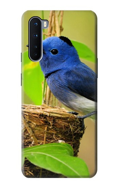 S3839 Oiseau bleu du bonheur Oiseau bleu Etui Coque Housse pour OnePlus Nord