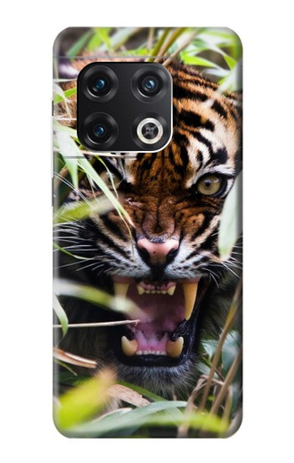 S3838 Tigre du Bengale qui aboie Etui Coque Housse pour OnePlus 10 Pro
