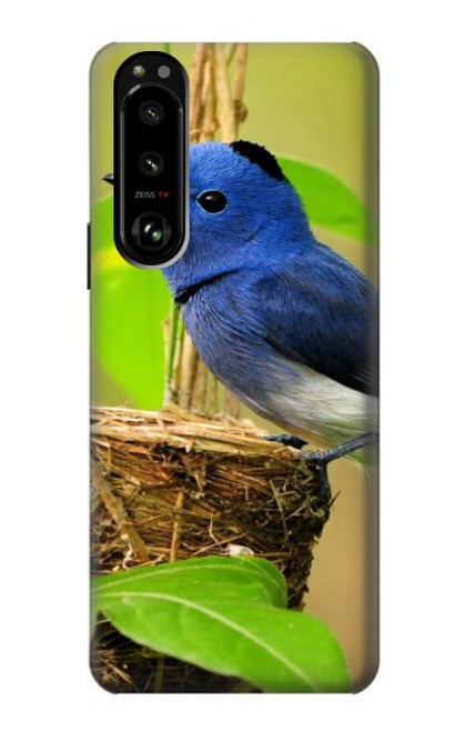 S3839 Oiseau bleu du bonheur Oiseau bleu Etui Coque Housse pour Sony Xperia 5 III