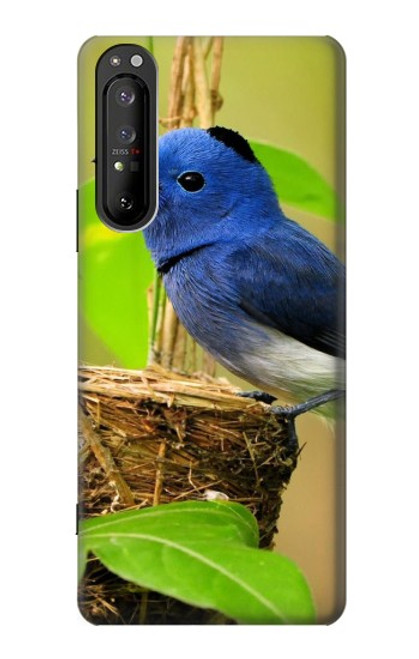 S3839 Oiseau bleu du bonheur Oiseau bleu Etui Coque Housse pour Sony Xperia 1 II