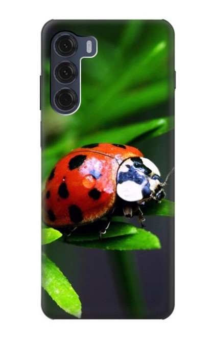 S0263 Coccinelle Etui Coque Housse pour Motorola Moto G200 5G