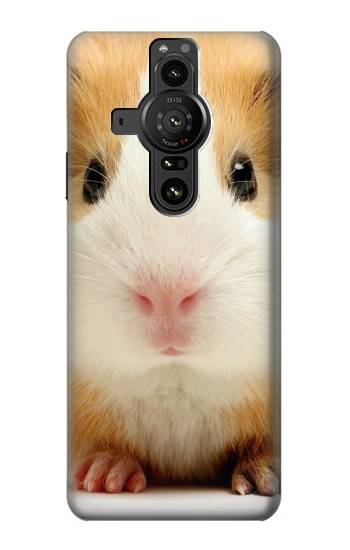 S1619 Mignon de porc Guinée Etui Coque Housse pour Sony Xperia Pro-I