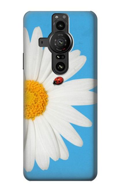 S3043 Coccinelle Daisy millésimé Etui Coque Housse pour Sony Xperia Pro-I