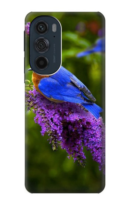 S1565 Oiseau bleu de bonheur Bleu Oiseau Etui Coque Housse pour Motorola Edge 30 Pro