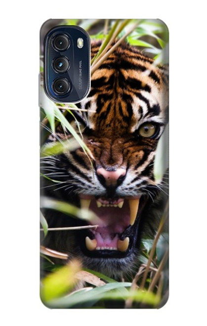 S3838 Tigre du Bengale qui aboie Etui Coque Housse pour Motorola Moto G (2022)