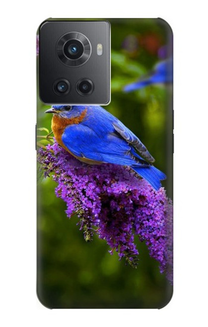 S1565 Oiseau bleu de bonheur Bleu Oiseau Etui Coque Housse pour OnePlus Ace