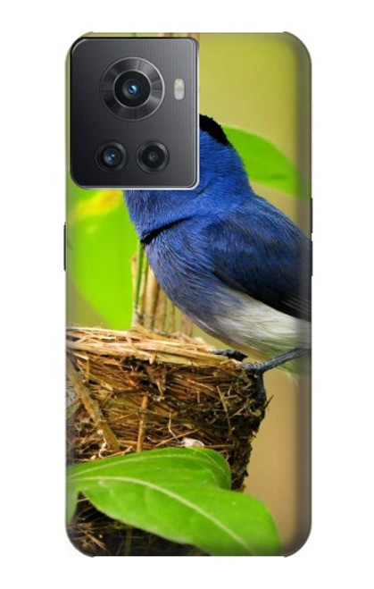 S3839 Oiseau bleu du bonheur Oiseau bleu Etui Coque Housse pour OnePlus Ace