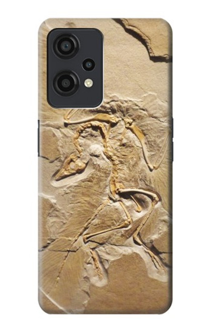 S0380 Fossile de dinosaure Etui Coque Housse pour OnePlus Nord CE 2 Lite 5G