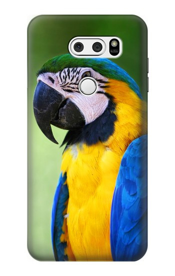 S3888 Ara Visage Oiseau Etui Coque Housse pour LG V30, LG V30 Plus, LG V30S ThinQ, LG V35, LG V35 ThinQ
