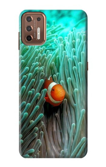 S3893 Poisson-clown Ocellaris Etui Coque Housse pour Motorola Moto G9 Plus