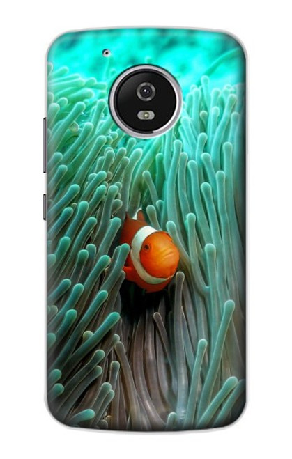 S3893 Poisson-clown Ocellaris Etui Coque Housse pour Motorola Moto G5