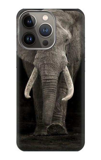 S3496 éléphant d'Afrique Etui Coque Housse pour iPhone 14 Pro Max
