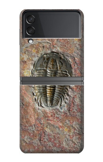 S1454 trilobite Fossile Etui Coque Housse pour Samsung Galaxy Z Flip 4