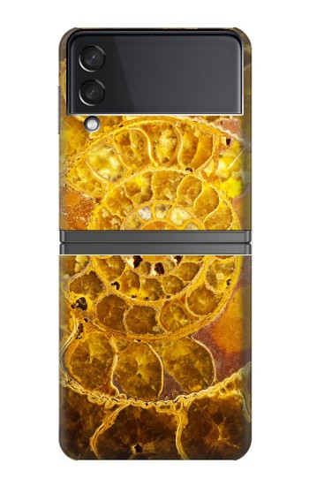 S1789 ammonite Fossiles Etui Coque Housse pour Samsung Galaxy Z Flip 4