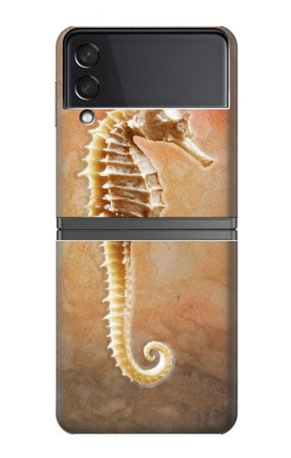 S2674 Hippocampe squelette Fossile Etui Coque Housse pour Samsung Galaxy Z Flip 4