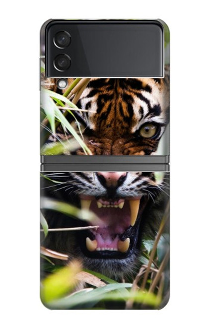S3838 Tigre du Bengale qui aboie Etui Coque Housse pour Samsung Galaxy Z Flip 4