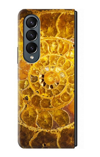 S1789 ammonite Fossiles Etui Coque Housse pour Samsung Galaxy Z Fold 4