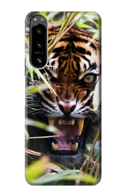 S3838 Tigre du Bengale qui aboie Etui Coque Housse pour Sony Xperia 5 IV